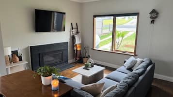 Smart TV, fireplace, books