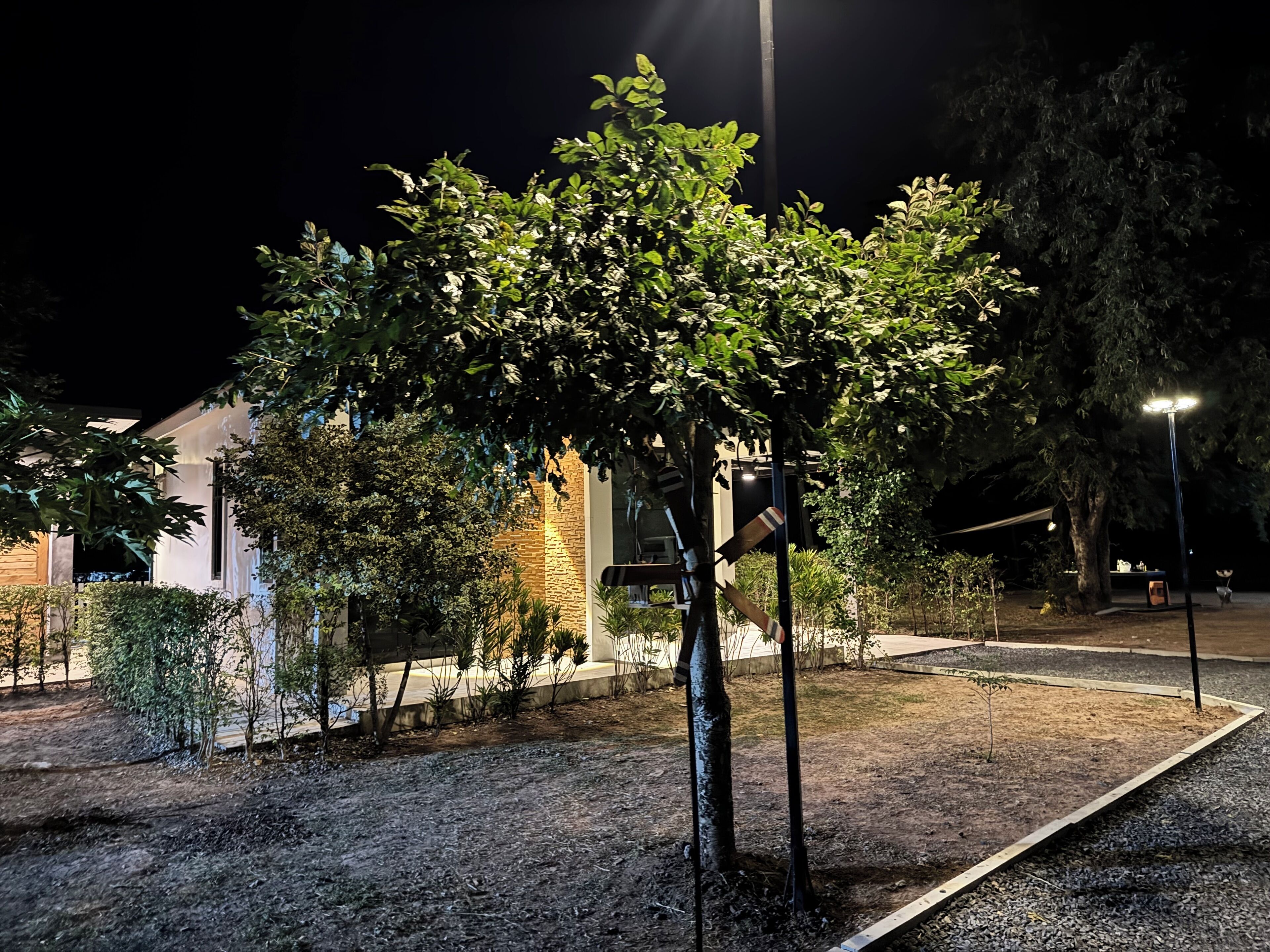 A well-lit outdoor area with a tree, a stone wall, and a lamp post.