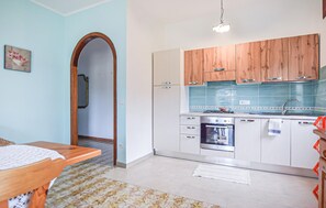 Fridge, stovetop, cookware/dishes/utensils