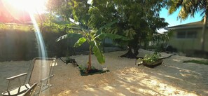 Property grounds - Golden Haven –Comfort in the Heart of Paradise in The Bahamas - entire apartment (Nassau)