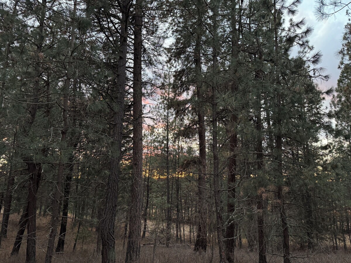 オーナーのプロフィール画像