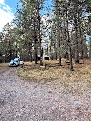A gravel path leading to a white vehicle parked near a wooden fence, surrounded by tall pine trees.