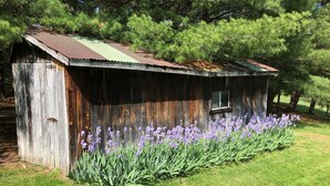 A rustic wooden shed with a metal roof, surrounded by a well-maintained lawn and purple flowers. - Christmas Cabin in Hocking Hills (New Marshfield, Ohio)
