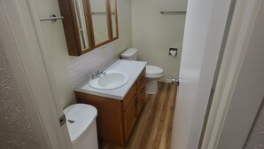 Une petite salle de bain avec un meuble-lavabo en bois, un lavabo, des toilettes et un miroir.