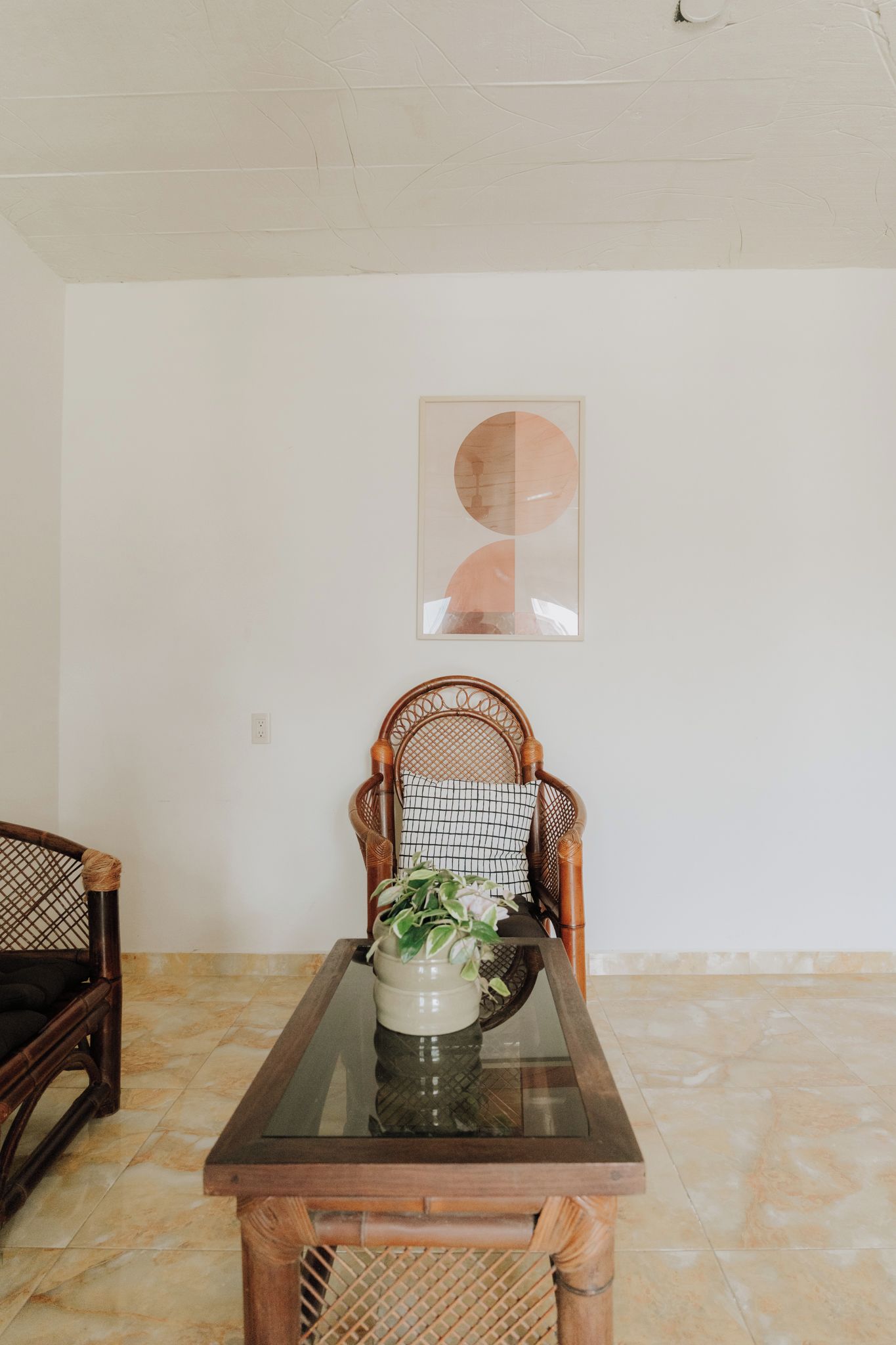 Un comedor con una mesa de vidrio, sillas de mimbre y una planta en maceta.
