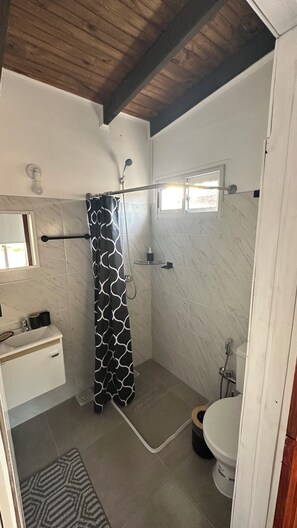 Shower, bidet, toilet paper