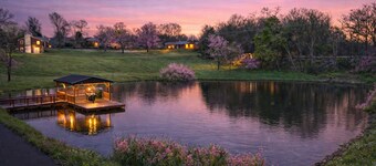 Luxury 5 Acre Bourbon Estate with Private Pond, Theater and Game Room