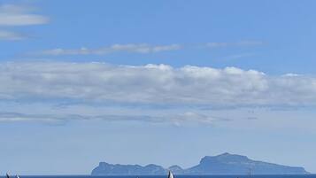 Divers