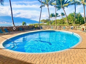A heated pool - Oceanfront and beach front - Menehune Shores 411 (Kihei)
