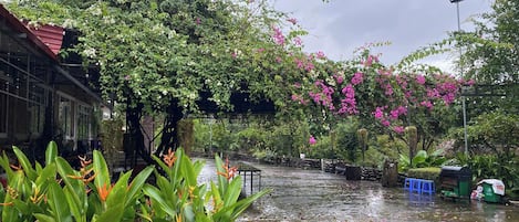 Romantic Bungalow | Property grounds