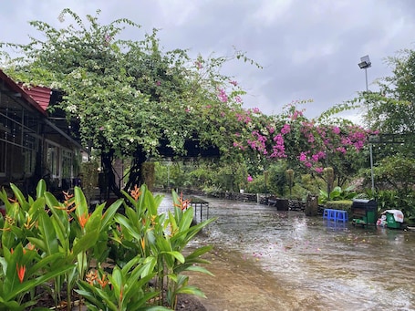 Romantic Bungalow | Property grounds. Homestay Nha Cua Mi