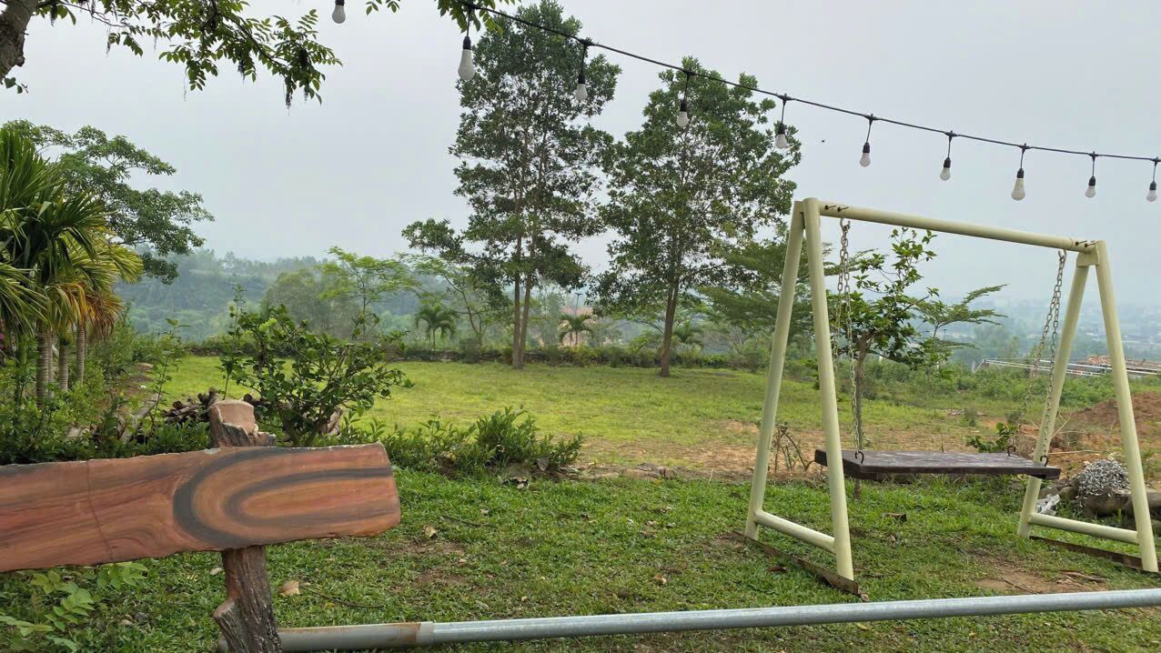 A grassy outdoor area with a swing set and a wooden signpost.