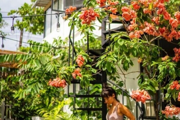 Signature Tree House | In-room safe, iron/ironing board, free WiFi, bed sheets