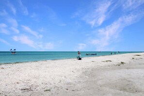 Playa en los alrededores 