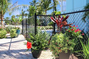 A fenced outdoor area with potted plants and a blue building in the background. - Serene 1BR Sanibel Island Getaway - Colony Inn 18 (Sanibel)