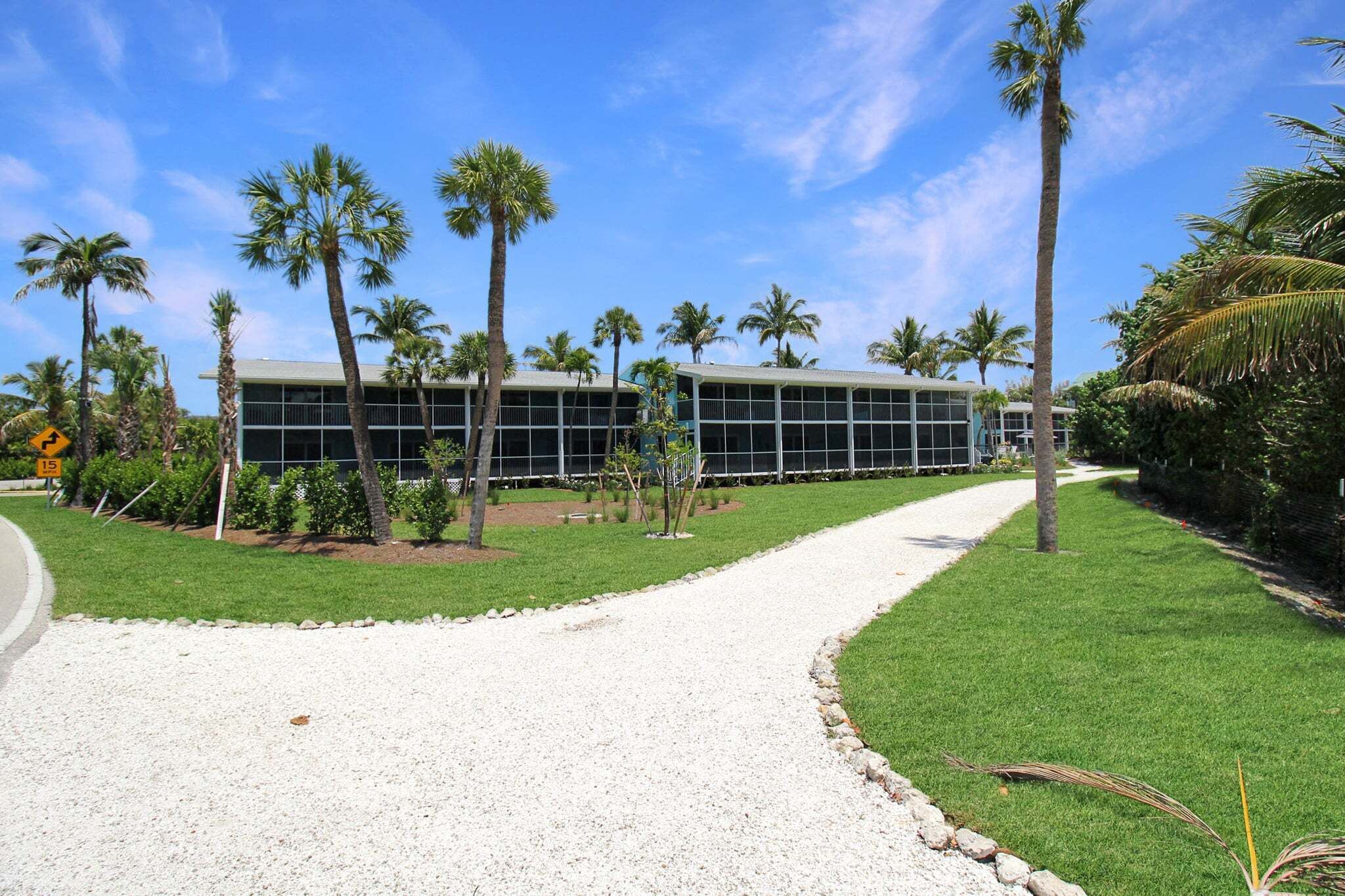 Un bâtiment moderne à la façade en verre, entouré de palmiers et bordé d’un chemin de gravier.