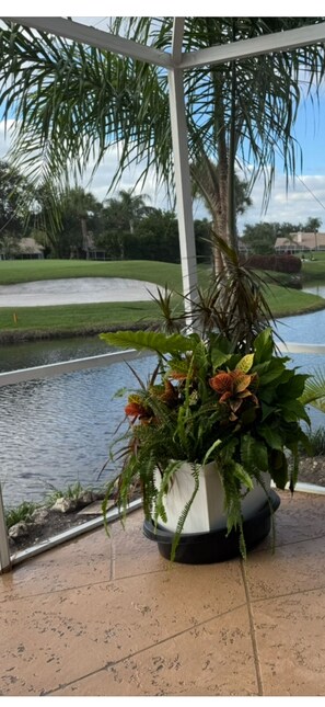 Property grounds - Luxury 3BR in Gated Naples Golf Community — Furnished — 3-Month Minimum (Naples)