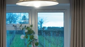 Habitación con ventana que da a un viñedo, una lámpara colgante y un florero con flores en el alféizar.