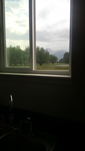 A window with a view of a grassy area and trees, a kitchen sink, and a window frame. - Cozy 1 bedroom house on quiet alley but close to town and mountain (Buena Vista)