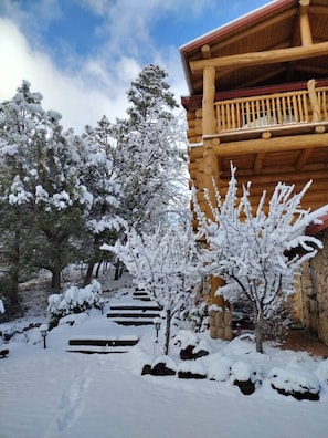 Property grounds - EV Charger CHK IN/OUT 1PM Incredible Log Home in Gated Torreon with Hot tub (Show Low)