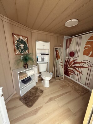 Shower, towels, soap, toilet paper