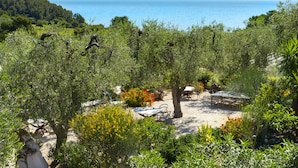 A garden with a table and chairs, surrounded by trees and plants, overlooking a body of water.
