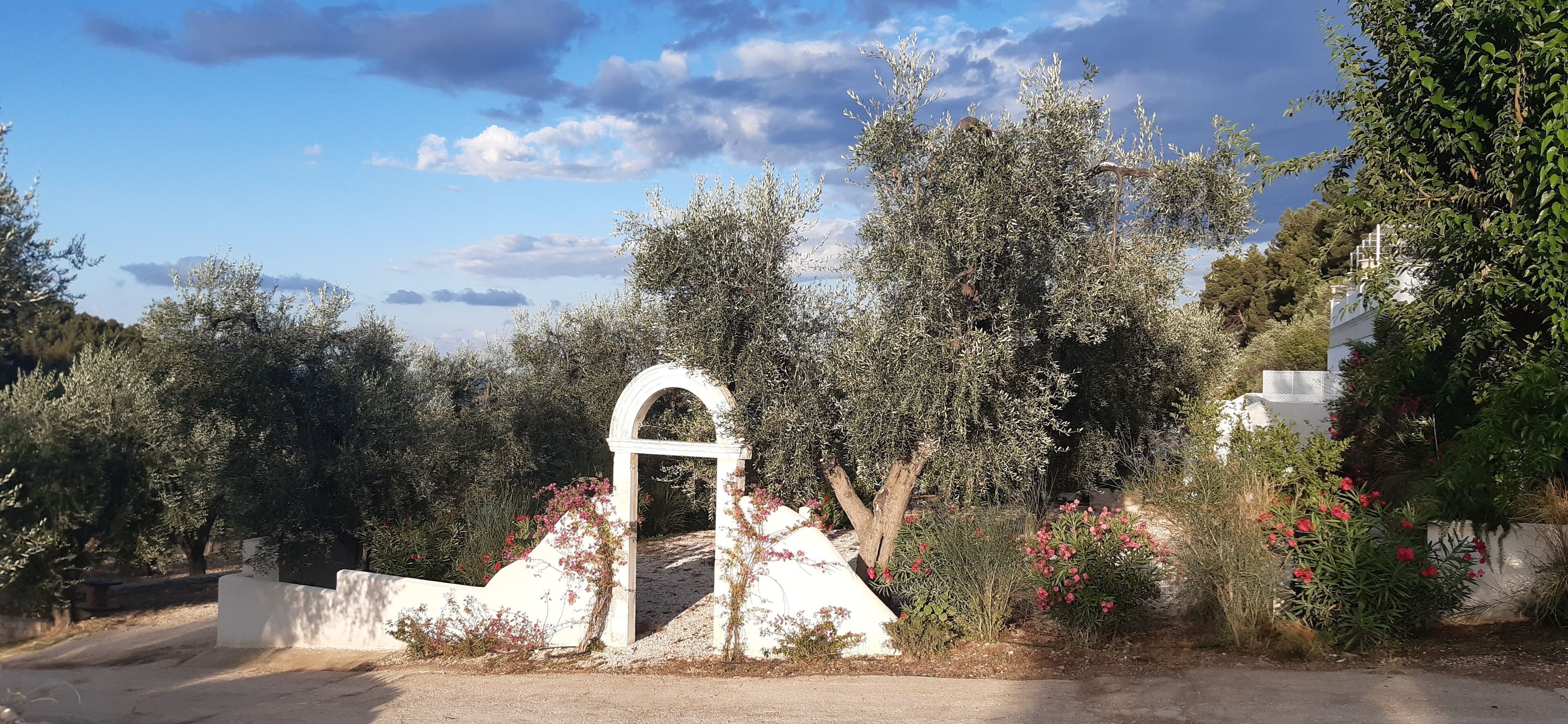 A white archway leading into a garden with olive trees and flowering plants.