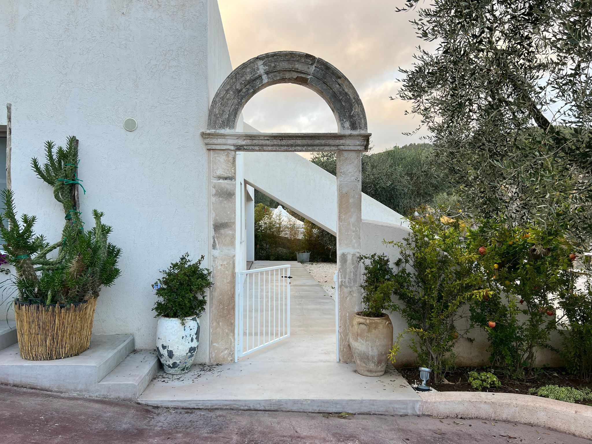 A white building with a stone archway leading to a staircase. There are potted plants on the steps and a tree with fruit in the background.