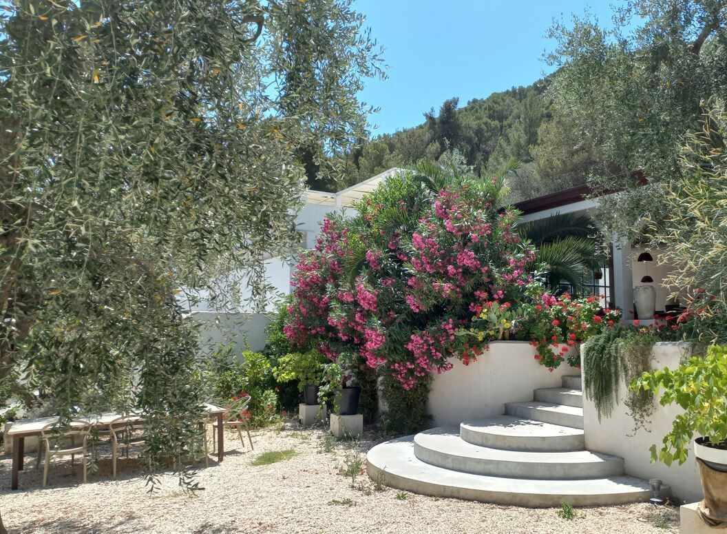 A courtyard with a seating area, a staircase, and various plants.