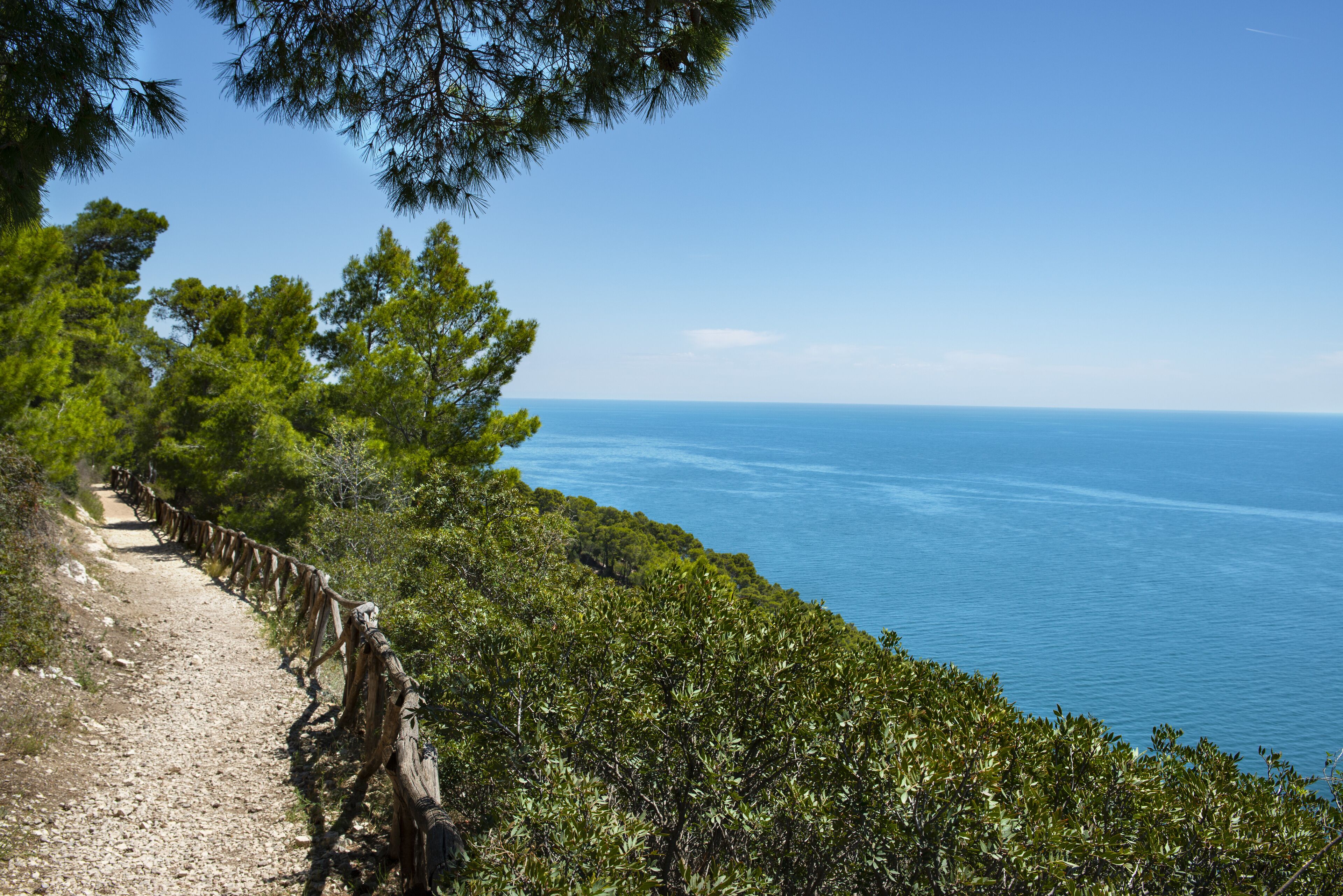 Um caminho costeiro com cerca de madeira, rodeado por vegetação densa e que leva ao mar.
