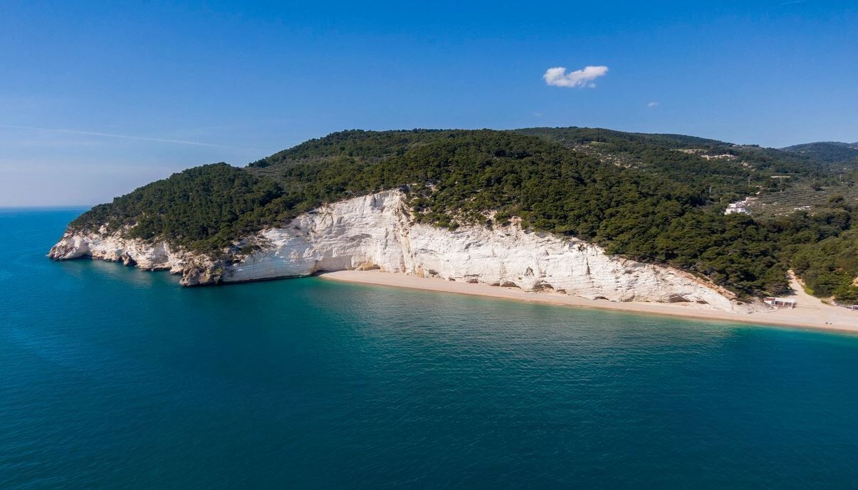 A coastal landscape with a beach, cliffs, and a forested hill.