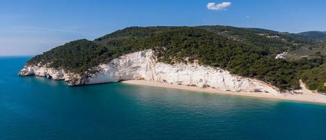 A coastal landscape with a beach, cliffs, and a forested hill.
