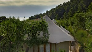 A single-story building with a sloped roof, surrounded by dense greenery and trees.