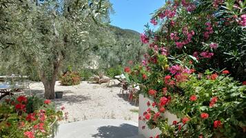 An outdoor seating area with tables and chairs, surrounded by olive trees and flowering plants.
