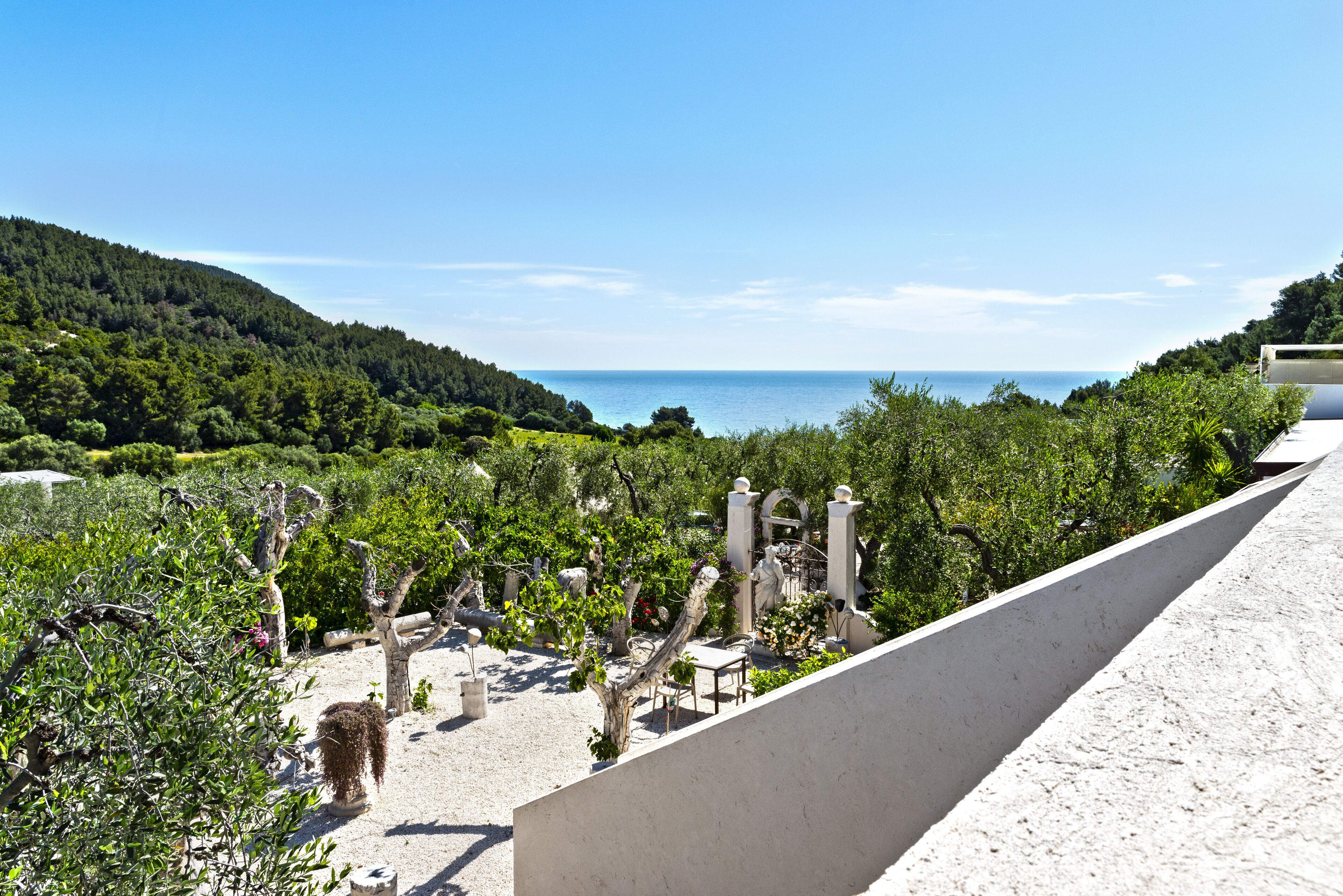A coastal landscape with a view of the sea, a garden with various plants and a white wall.