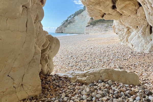 Beach nearby, black sand, sun loungers, beach umbrellas