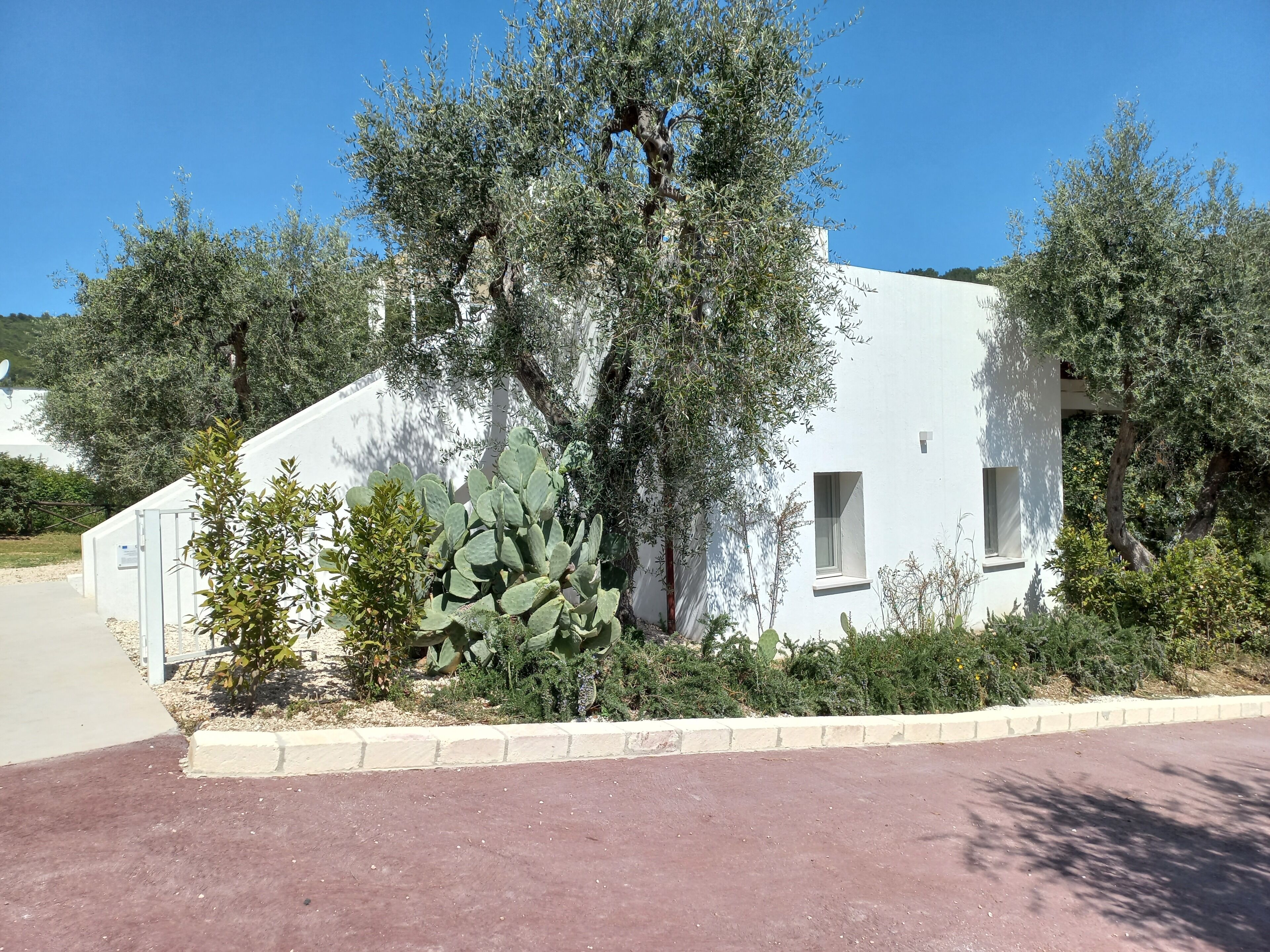 Un bâtiment blanc avec une petite fenêtre et une porte, entouré d’oliviers et de cactus.