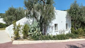 Un bâtiment blanc avec une petite fenêtre et une porte, entouré d’oliviers et de cactus.