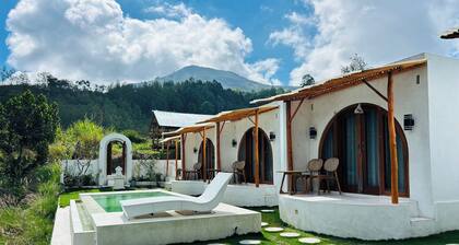 Felysia Villa Iii