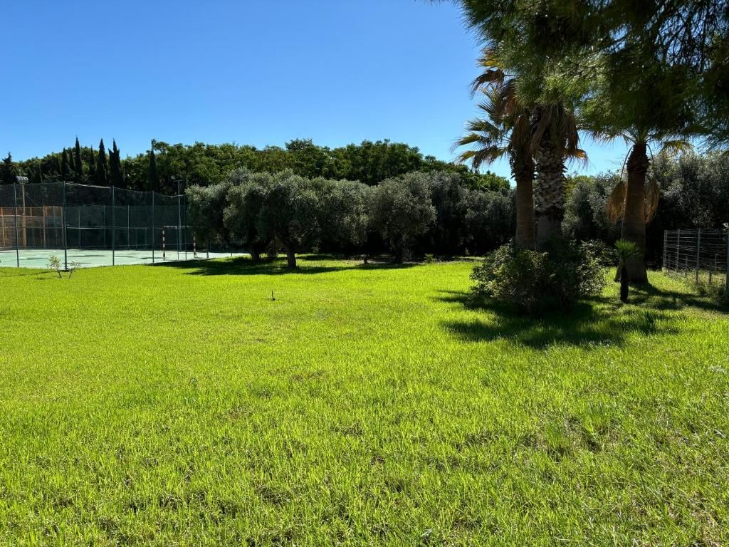 Una cancha de tenis rodeada de árboles y follaje.