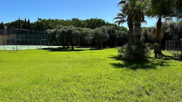 Una cancha de tenis rodeada de árboles y follaje.