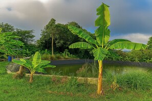 View from property - Greenheart Garden View Camp Phuket (Karon)