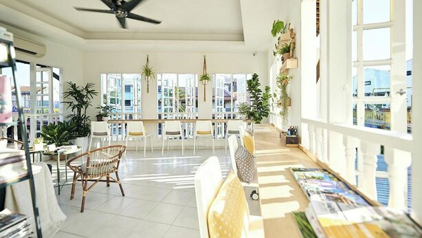 A bright, open-plan living area with a ceiling fan, large windows, and a variety of plants. - Sleepy Nomad Hostel (Malacca City)