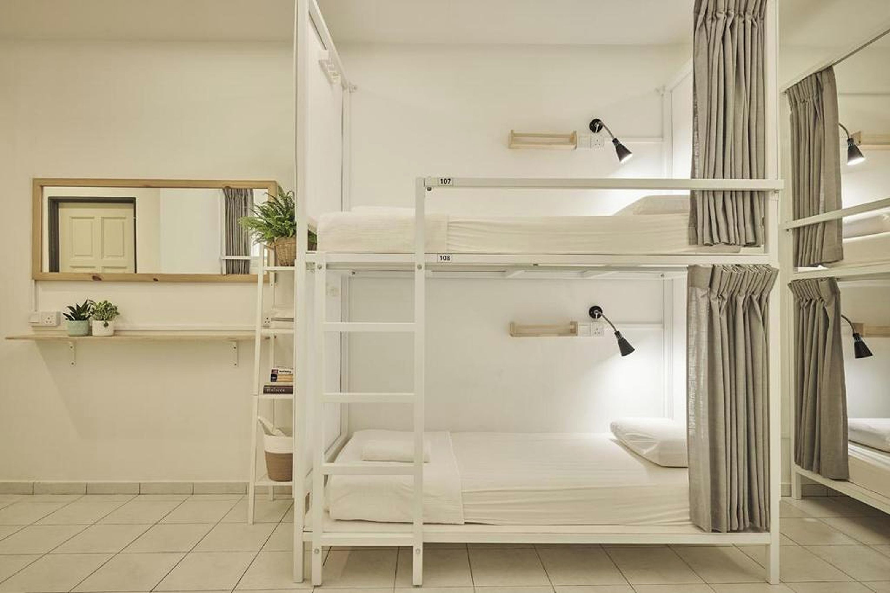 A dormitory room with bunk beds, a mirror, a shelf with plants, and a desk.