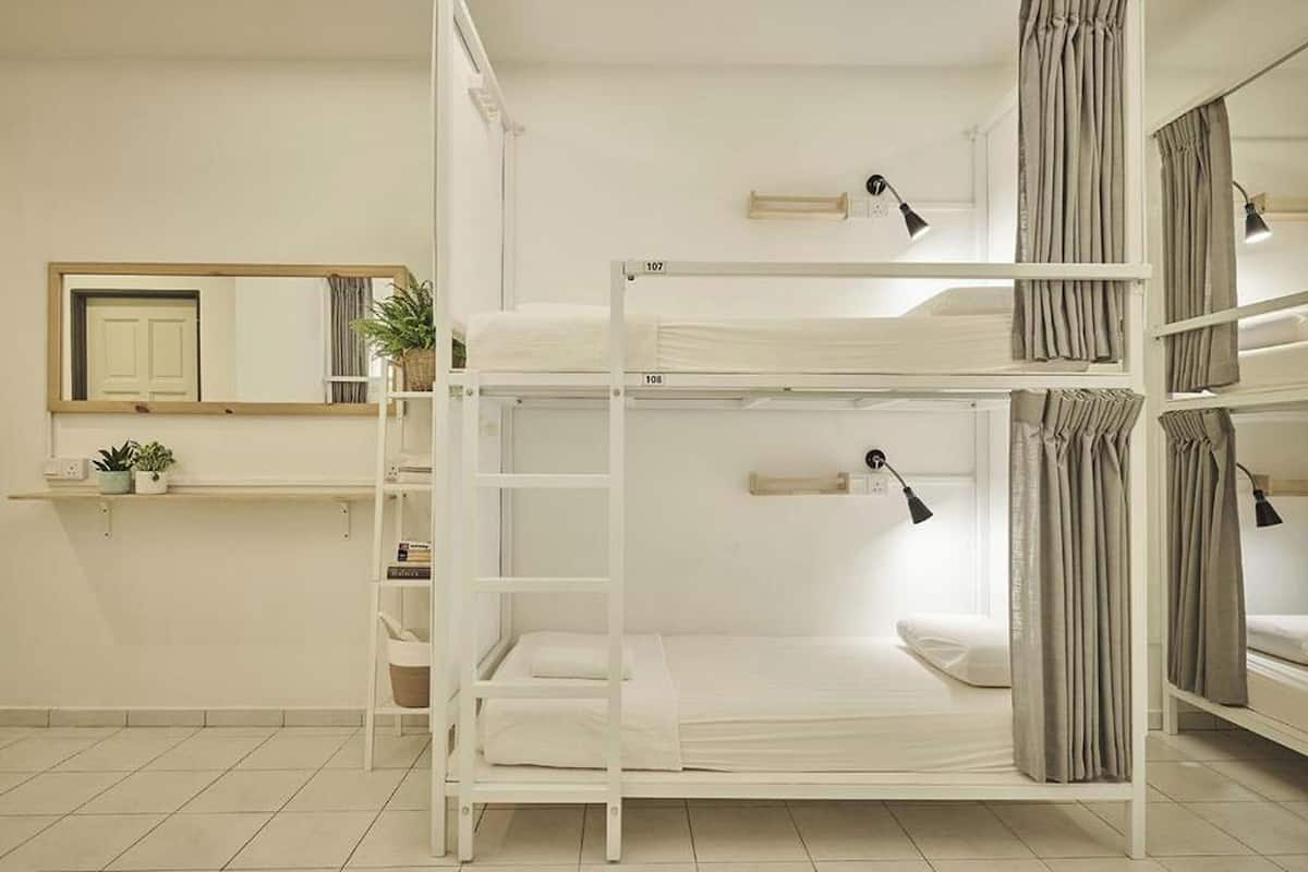 A dormitory room with bunk beds, a mirror, a shelf with plants, and a desk.
