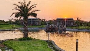 Vista desde la propiedad