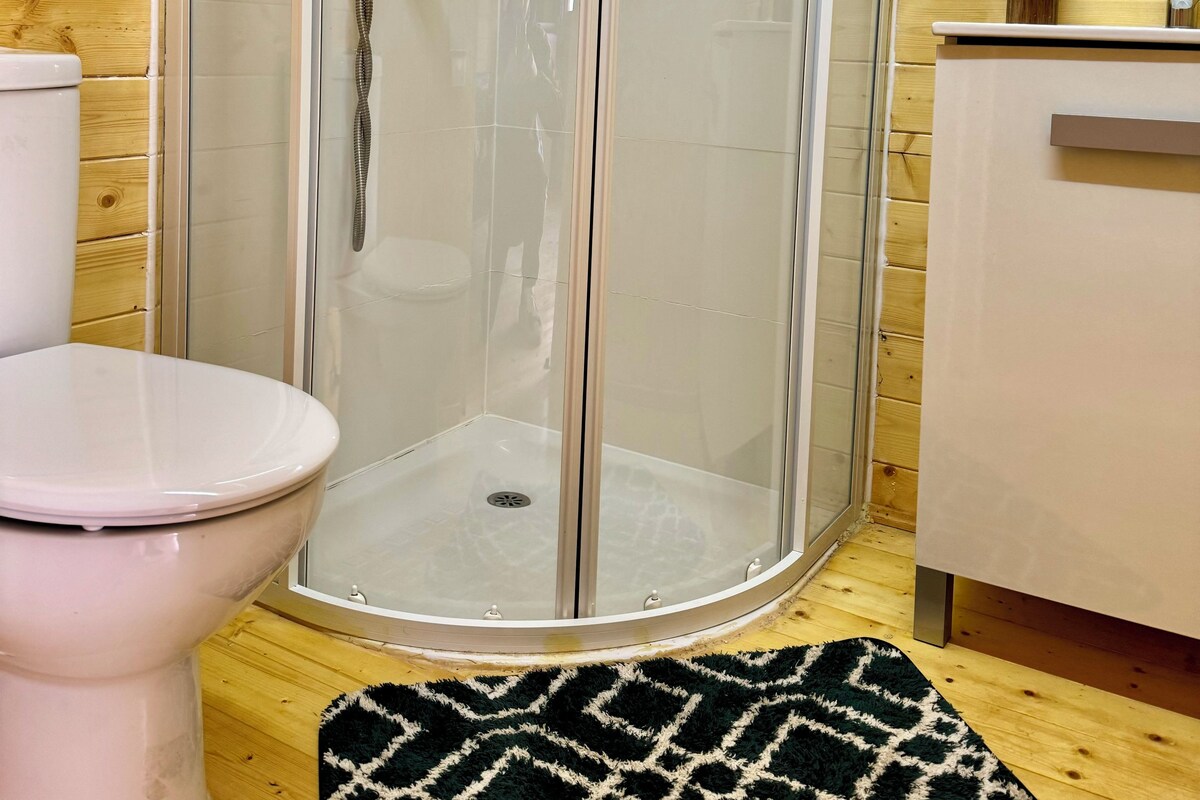 Un box de ducha con puerta de cristal, un inodoro y una alfombra estampada.