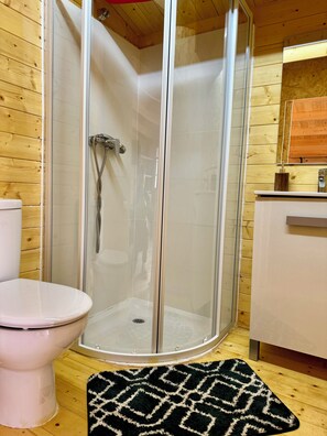 Un box de ducha con puerta de cristal, un inodoro y una alfombra estampada.