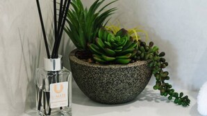 Ein Badezimmer mit weißem Waschtisch, einer Topfpflanze mit Sukkulente und einem Reed-Diffuser.