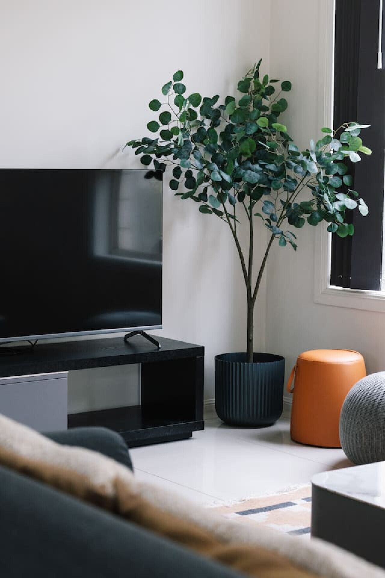 Een moderne woonkamer met een flatscreen televisie, een potplant en een bank.